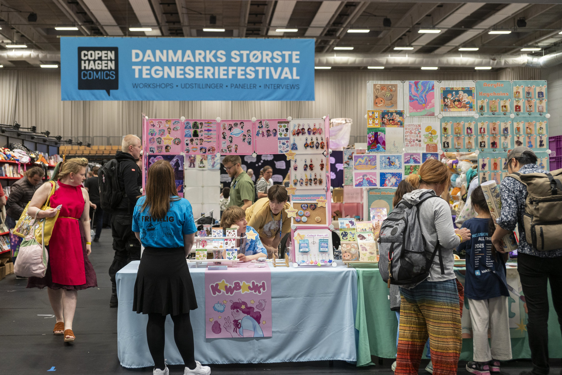 54599536722_e188236c2f_k frivilligservice